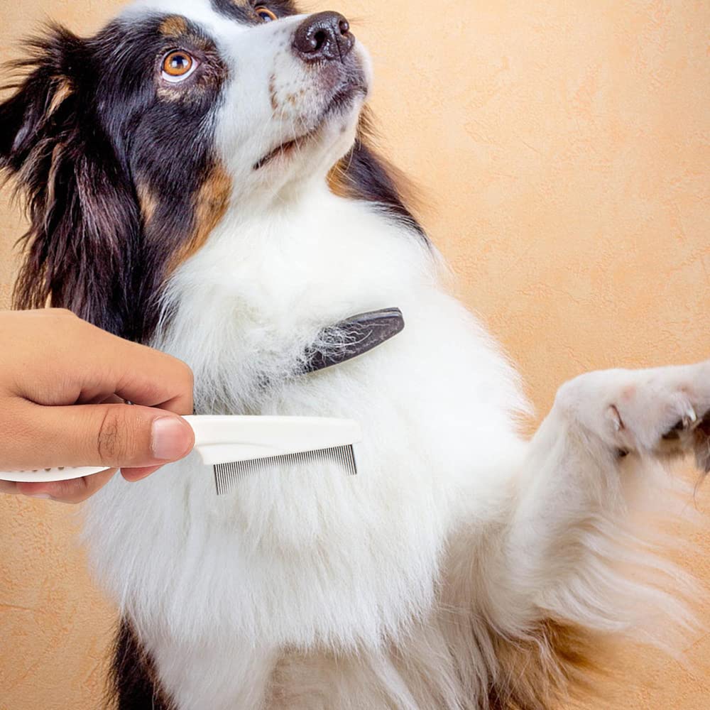 Pet comb tear stain remval comb magic pets groming comb kit for small dogs Puppies pet Grooming brash fine tooth stainless grooming massage camb