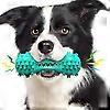 Pet dog chew toy molar toothbrush