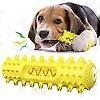 Pet dog chew toy molar toothbrush