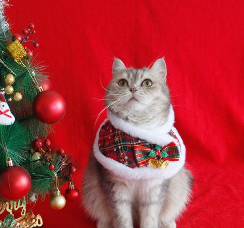 Shawl  cape pet scarf m warn and cute winter decoration, little cand , cat cristmas cape