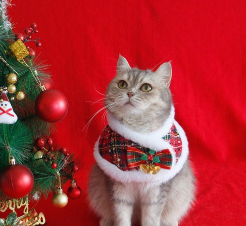 Shawl  cape pet scarf m warn and cute winter decoration, little cand , cat cristmas cape