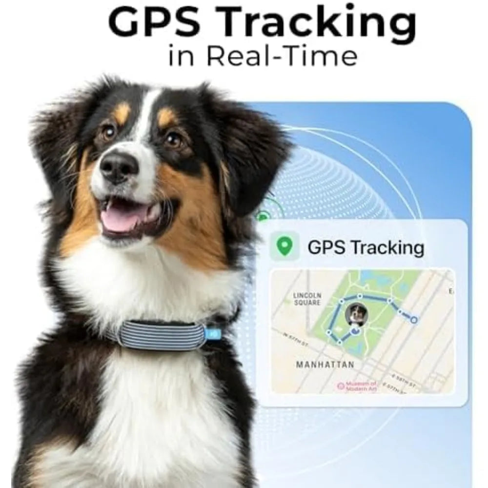 Health & GPS Tracker for Dogs