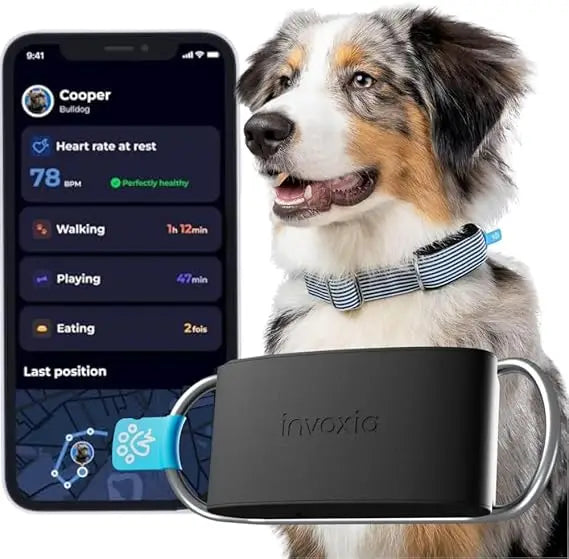 Health & GPS Tracker for Dogs