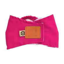 Pet male dogs,polite ant anti- harassment pappy safety pants