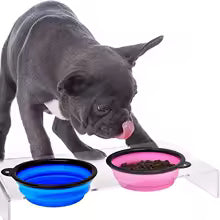 Dog folding bowl portable dog travel bowl dog food water bowl for outdoor walking silicone dog food water bowl with bawl lip