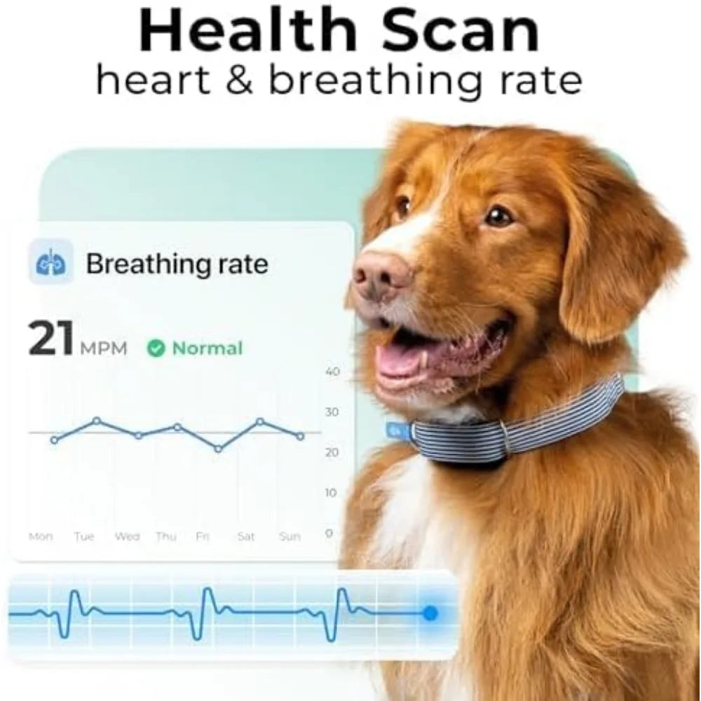 Health & GPS Tracker for Dogs