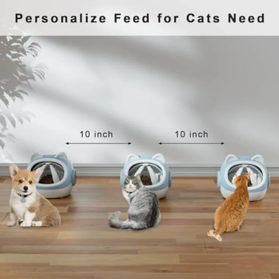 RFID Smart Pet Feeder with Dual Collar Tags
