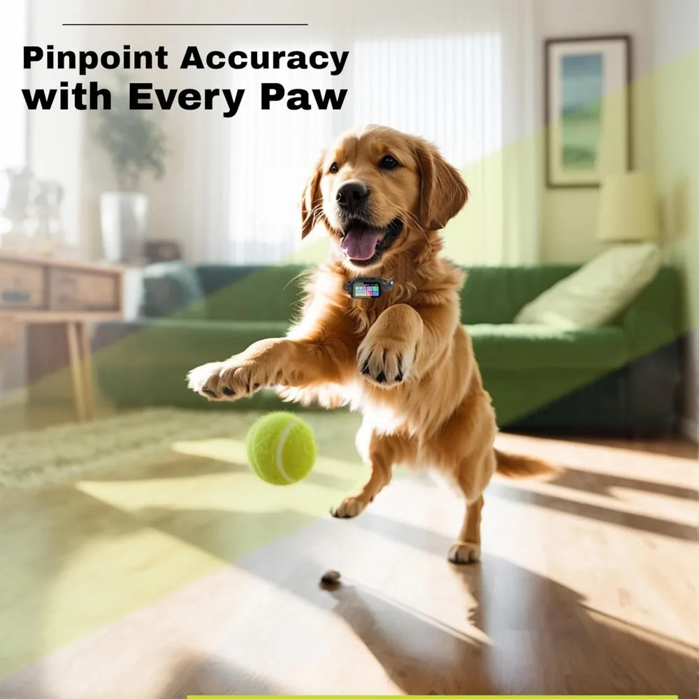 Customizable Invisible GPS Dog Collar Fence System