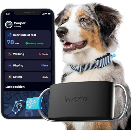 Health & GPS Tracker for Dogs