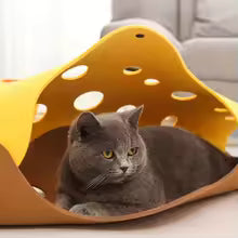 kitten toy collapsible tube house  interactive pet puss cat beds mats,cat tunnel felt pom nest deformalle