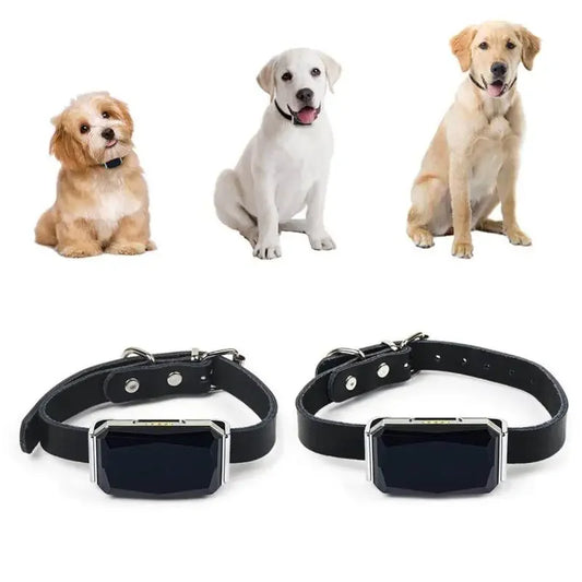 Pet Wifi Light GPS Tracker Waterproof Pet Collar For Pets
