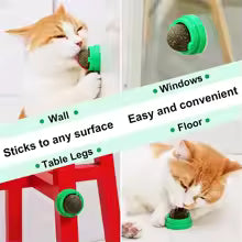 Toy scrachers treats healtuy natural removesballs to promote digestion cat crass snack