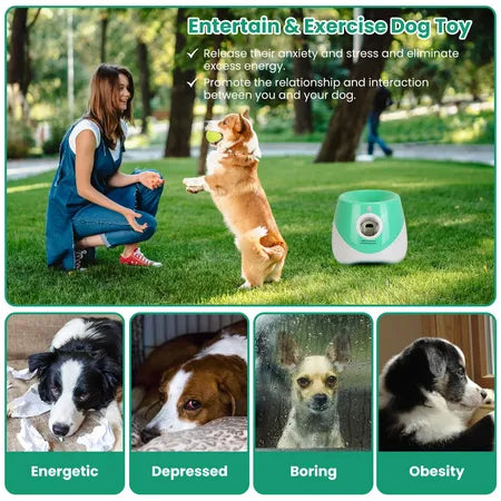 Pinball machine fun interactive throw rechargable catpult USB charging