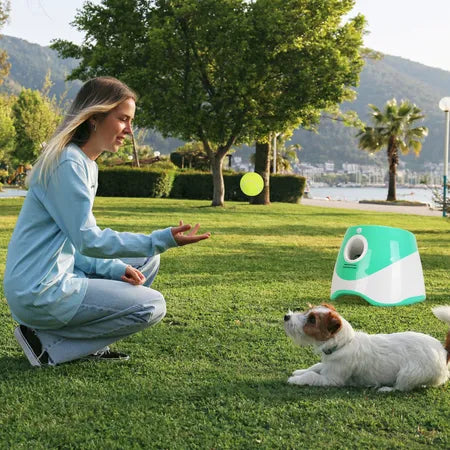 Pinball machine fun interactive throw rechargable catpult USB charging