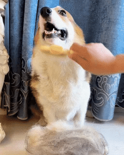 Self cleaning pet flea comb Grooming brush