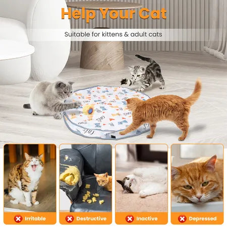 Cat toys ball fast rolling inpouch hide and seek kittentoy motion actibated intractive