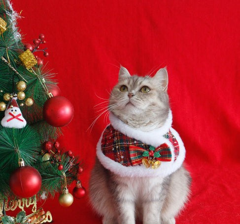 Shawl  cape pet scarf m warn and cute winter decoration, little cand , cat cristmas cape