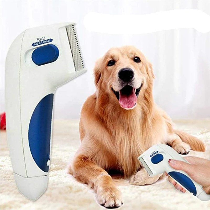 Electric pet flex lice femover