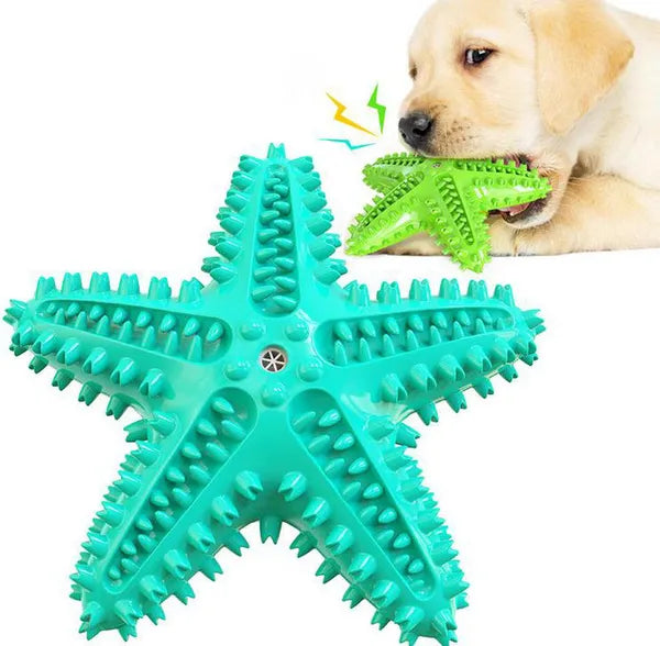 Dog toys for cleaning ches funny interactive training starfish toy accessories