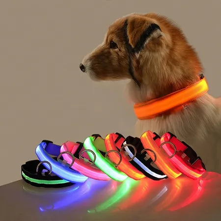 dog luminous chrge collar LED USB cat dogs collars detachable night LED glow dog loss preventioncollar pet Accessories