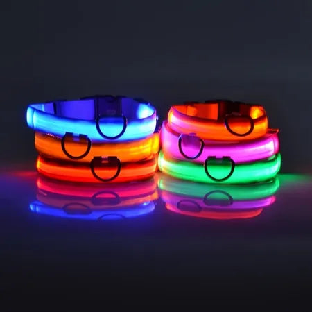 dog luminous chrge collar LED USB cat dogs collars detachable night LED glow dog loss preventioncollar pet Accessories