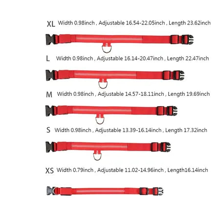 dog luminous chrge collar LED USB cat dogs collars detachable night LED glow dog loss preventioncollar pet Accessories