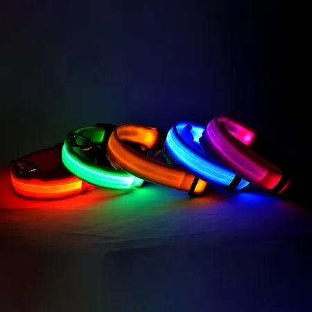 dog luminous chrge collar LED USB cat dogs collars detachable night LED glow dog loss preventioncollar pet Accessories