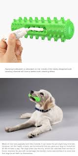 Pet dog chew toy molar toothbrush