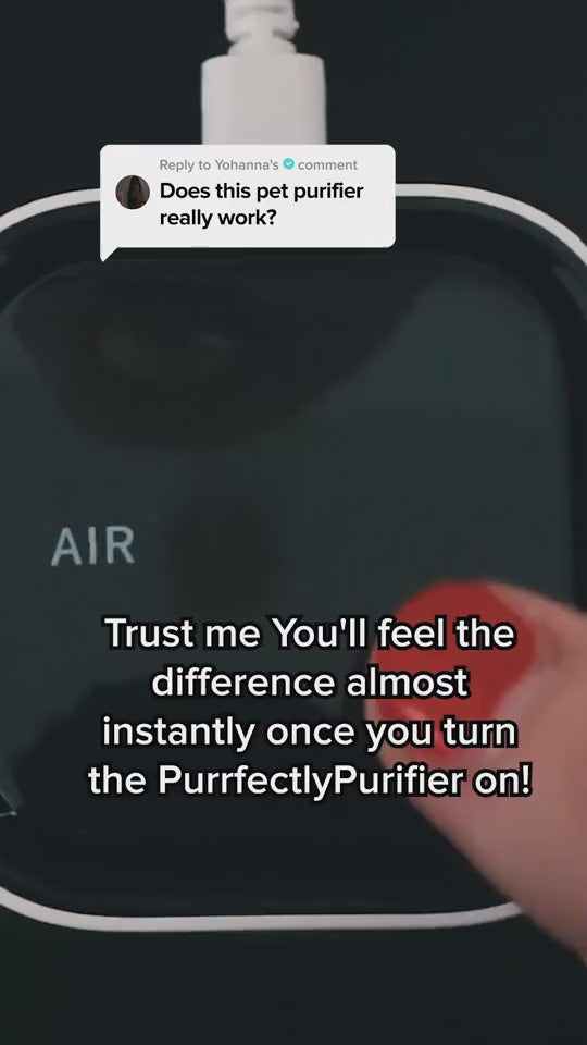 Pet air purifier
