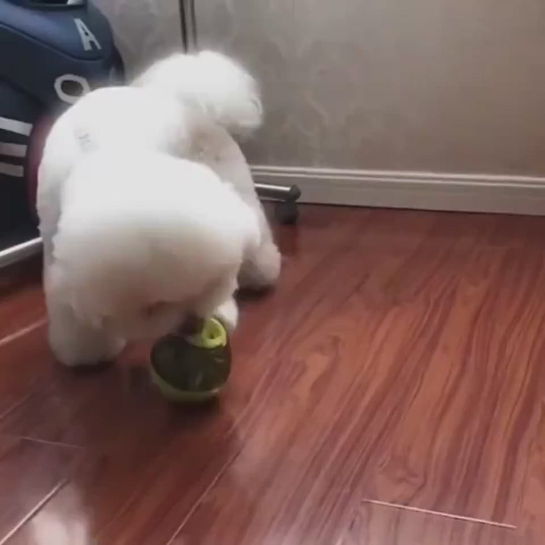 Interactive  pet food dispenser