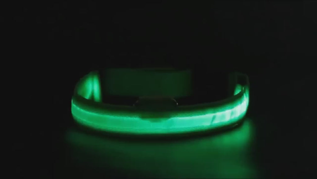 dog luminous chrge collar LED USB cat dogs collars detachable night LED glow dog loss preventioncollar pet Accessories